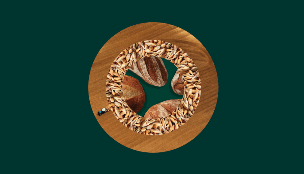 visual representation of how Evergrain uses upcycled barley to make protein and fibre