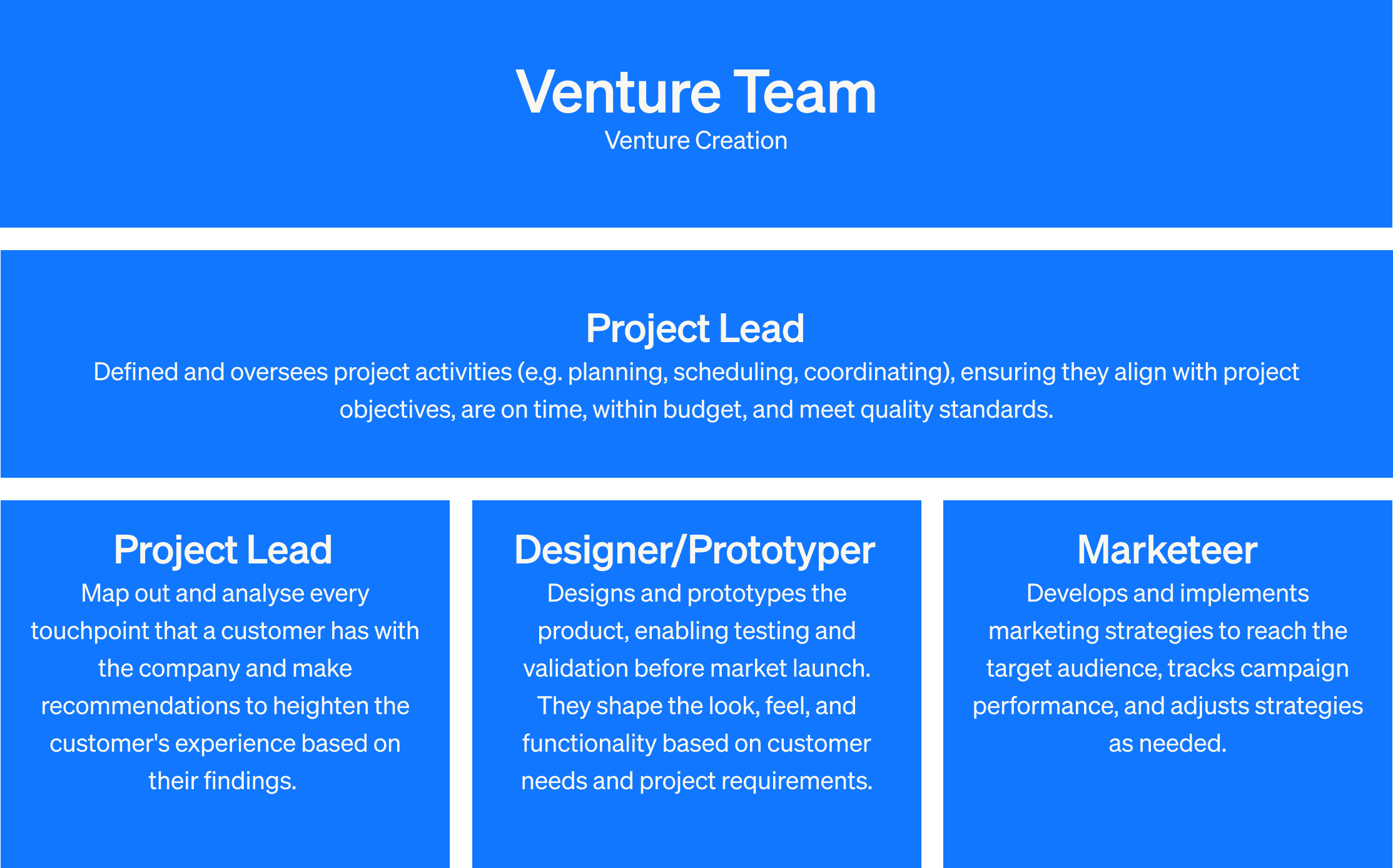 corporate venture team