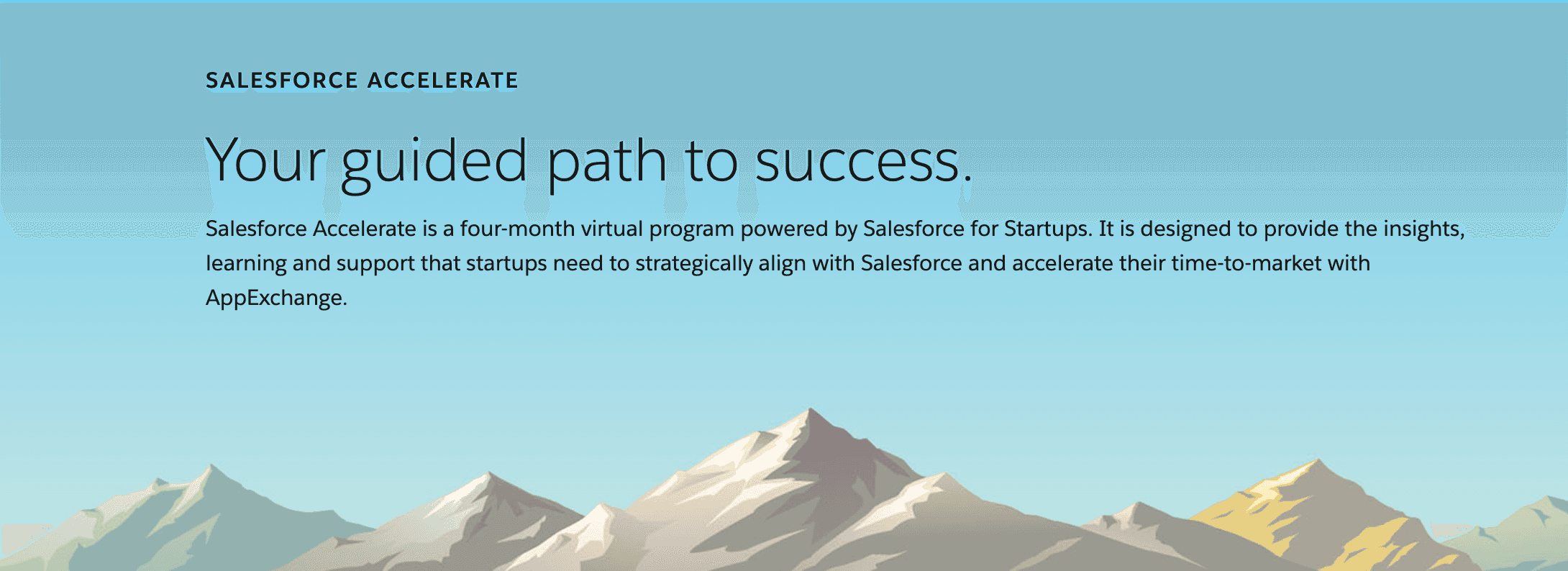 Salesforce's corporate accelerator program