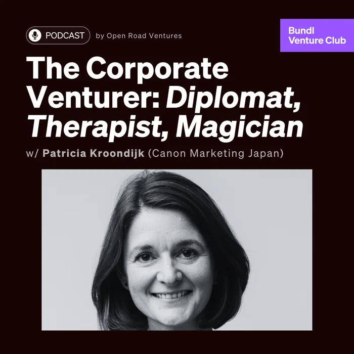 The Corporate Venturer: Diplomat, Therapist, Magician episode artwork